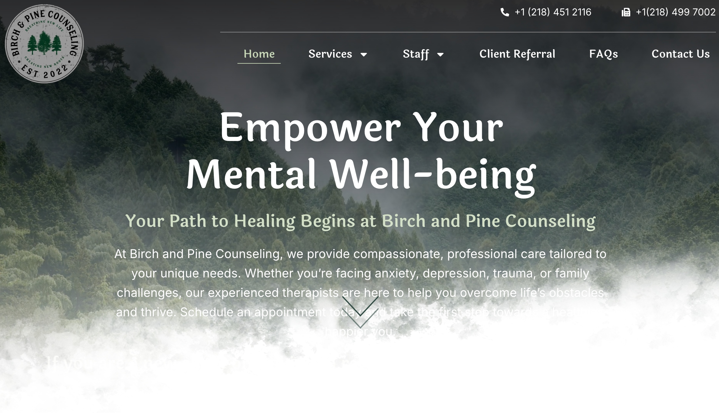 Birch and Pine Counseling 